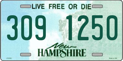 NH license plate 3091250