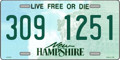 NH license plate 3091251