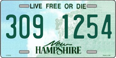 NH license plate 3091254