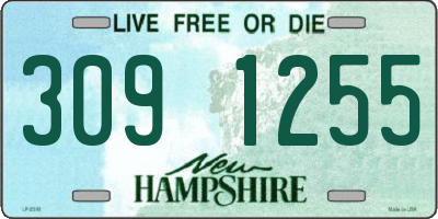 NH license plate 3091255