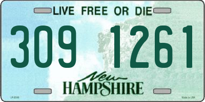 NH license plate 3091261