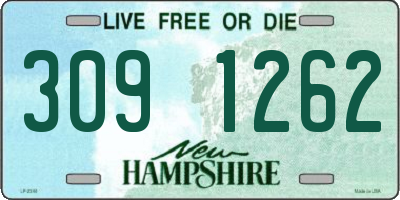 NH license plate 3091262