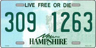 NH license plate 3091263