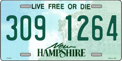 NH license plate 3091264