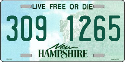 NH license plate 3091265