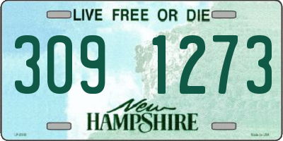 NH license plate 3091273