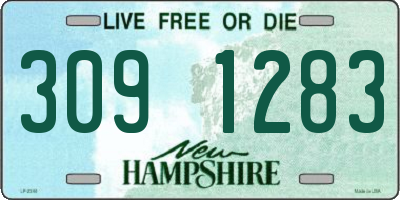 NH license plate 3091283