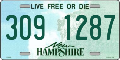 NH license plate 3091287
