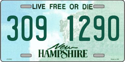 NH license plate 3091290