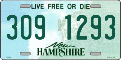 NH license plate 3091293