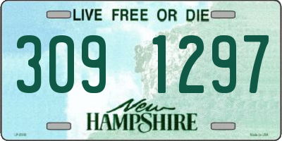 NH license plate 3091297