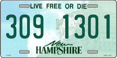 NH license plate 3091301