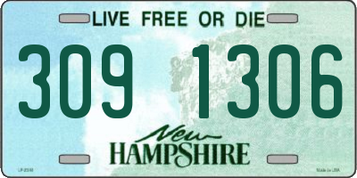 NH license plate 3091306