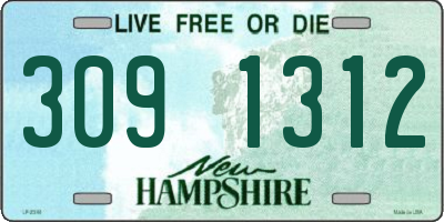 NH license plate 3091312