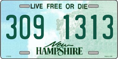 NH license plate 3091313