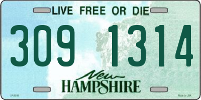 NH license plate 3091314