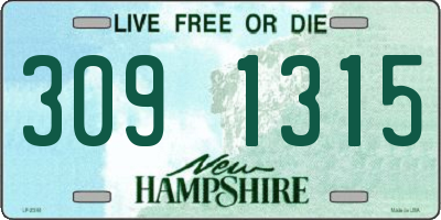 NH license plate 3091315