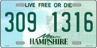 NH license plate 3091316