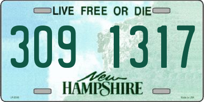 NH license plate 3091317