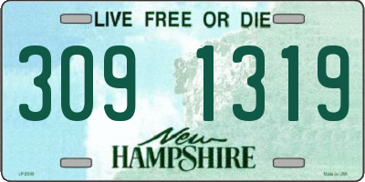 NH license plate 3091319