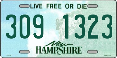 NH license plate 3091323