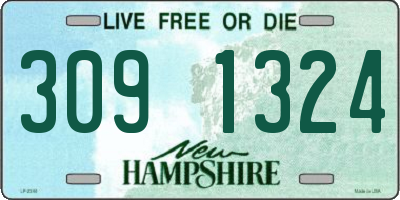 NH license plate 3091324
