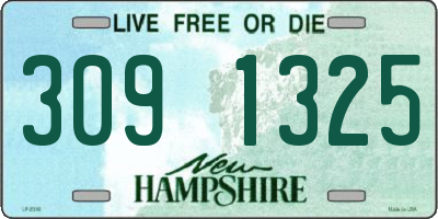 NH license plate 3091325
