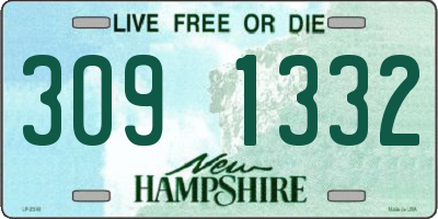NH license plate 3091332