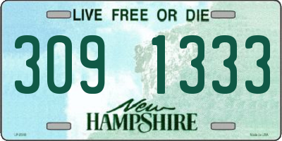 NH license plate 3091333