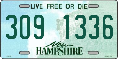 NH license plate 3091336
