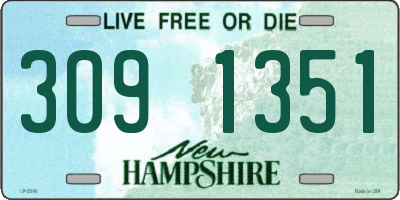 NH license plate 3091351
