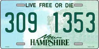 NH license plate 3091353