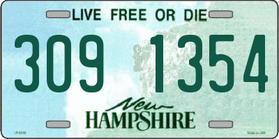 NH license plate 3091354