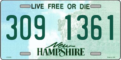 NH license plate 3091361