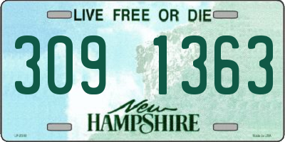 NH license plate 3091363