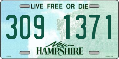 NH license plate 3091371