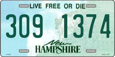 NH license plate 3091374
