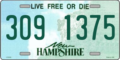 NH license plate 3091375