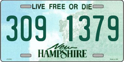 NH license plate 3091379