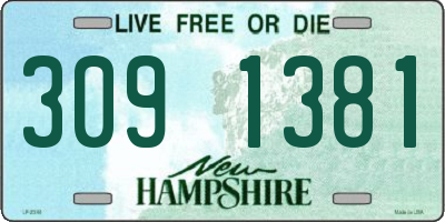 NH license plate 3091381