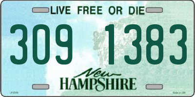 NH license plate 3091383
