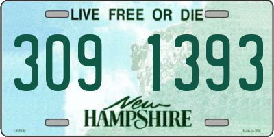 NH license plate 3091393