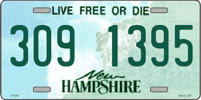 NH license plate 3091395