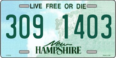 NH license plate 3091403