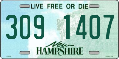 NH license plate 3091407