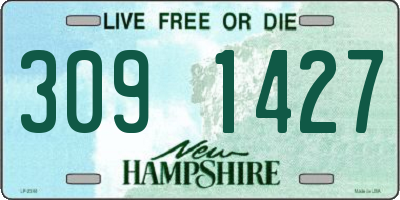 NH license plate 3091427