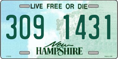 NH license plate 3091431