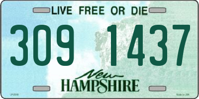 NH license plate 3091437