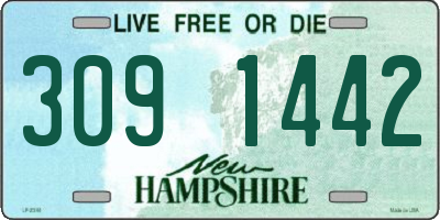NH license plate 3091442