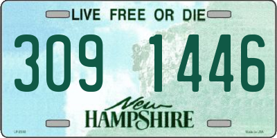 NH license plate 3091446